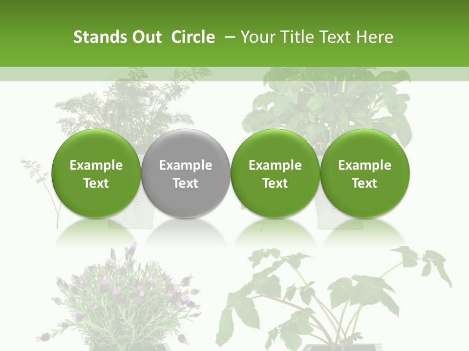 Organic Seasoning Medicinal PowerPoint Template