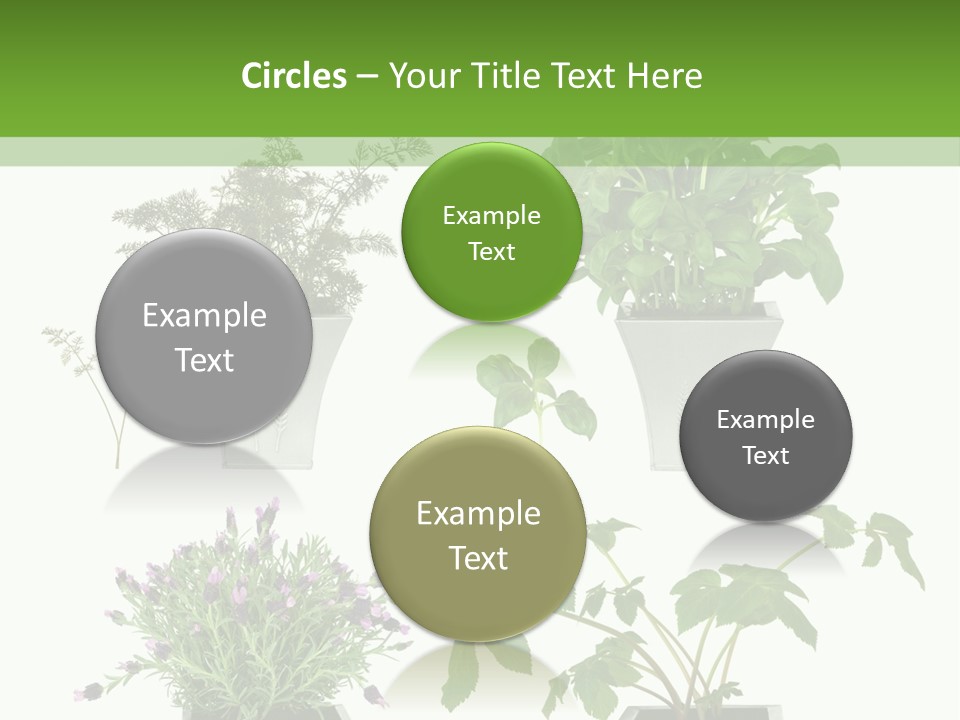 Organic Seasoning Medicinal PowerPoint Template