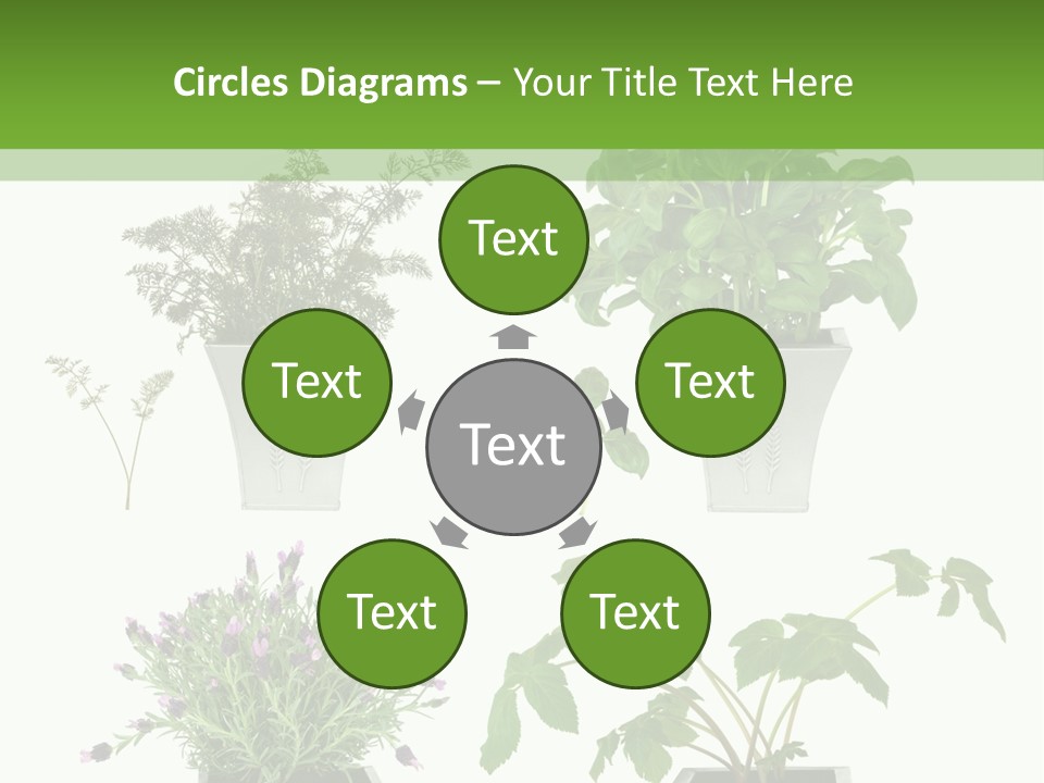 Organic Seasoning Medicinal PowerPoint Template