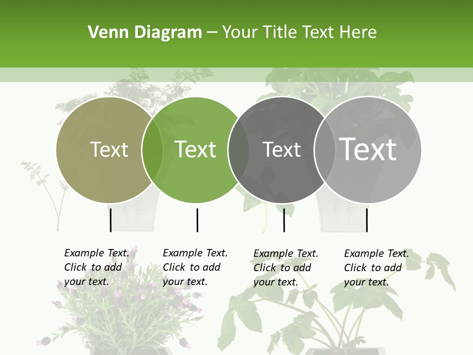 Organic Seasoning Medicinal PowerPoint Template