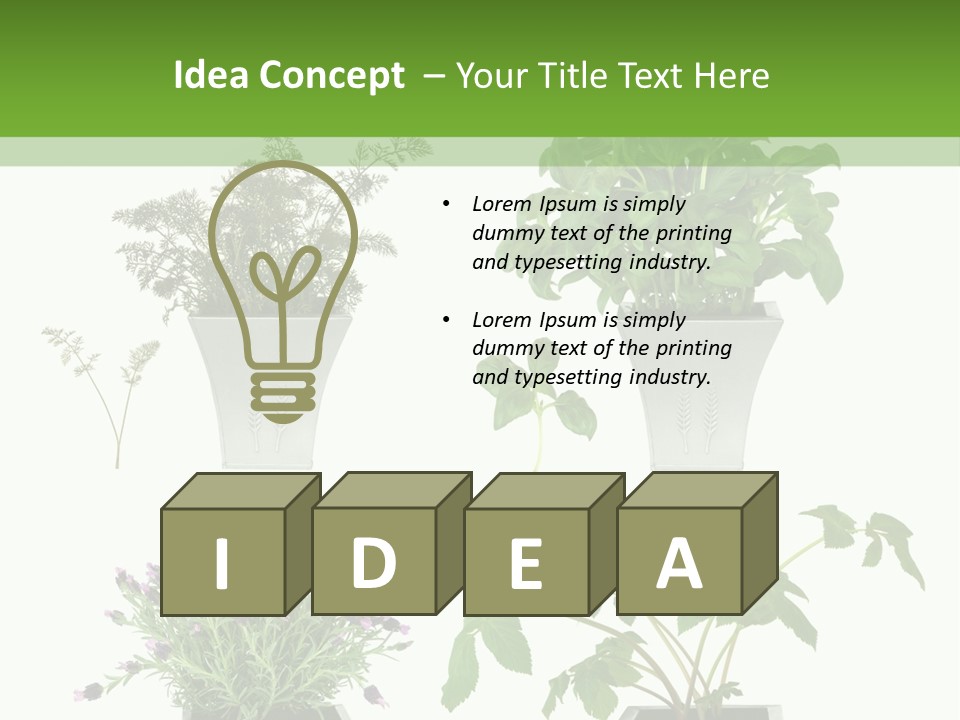 Organic Seasoning Medicinal PowerPoint Template