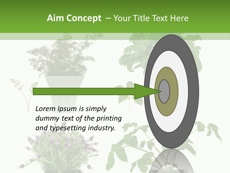 Organic Seasoning Medicinal PowerPoint Template