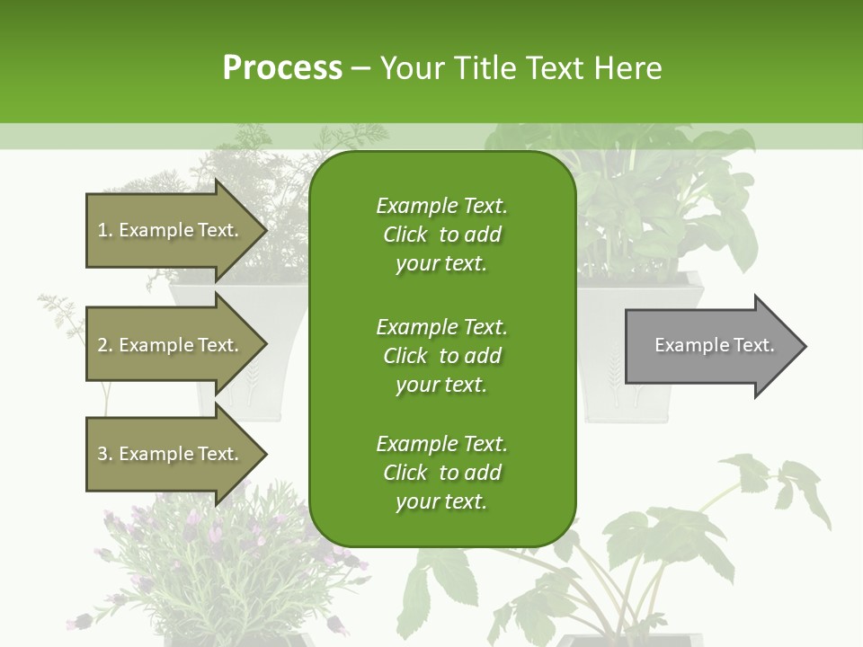 Organic Seasoning Medicinal PowerPoint Template