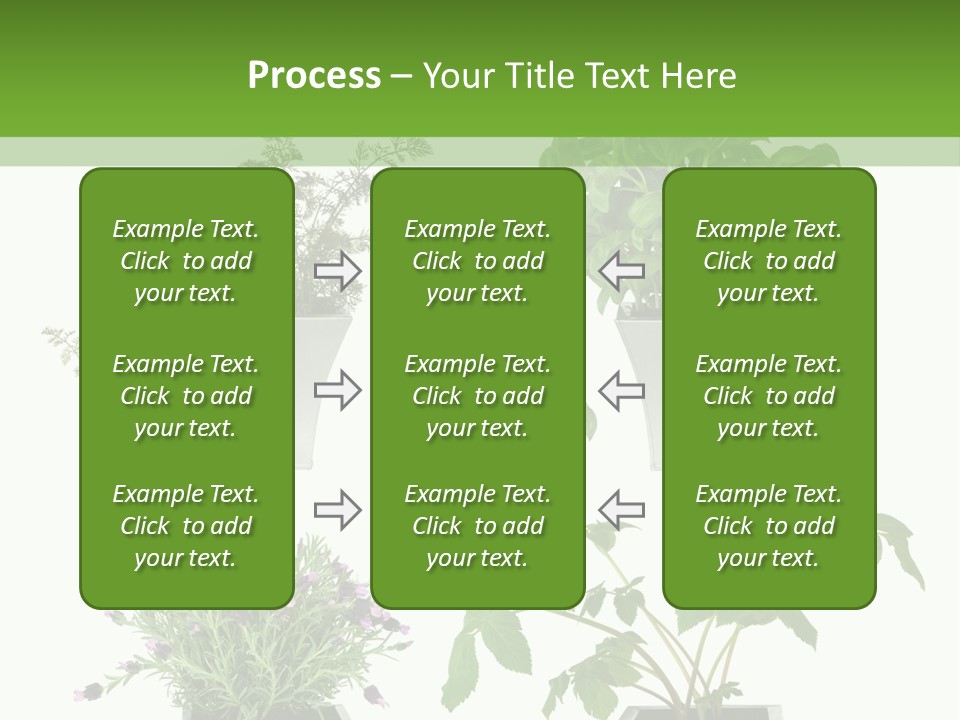 Organic Seasoning Medicinal PowerPoint Template