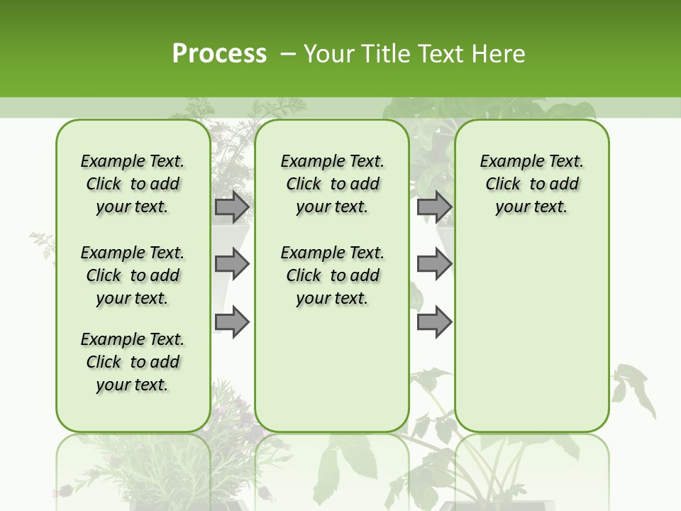 Organic Seasoning Medicinal PowerPoint Template