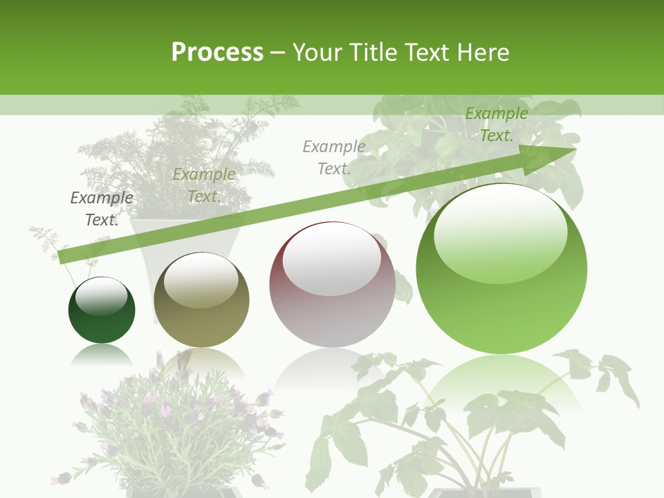 Organic Seasoning Medicinal PowerPoint Template