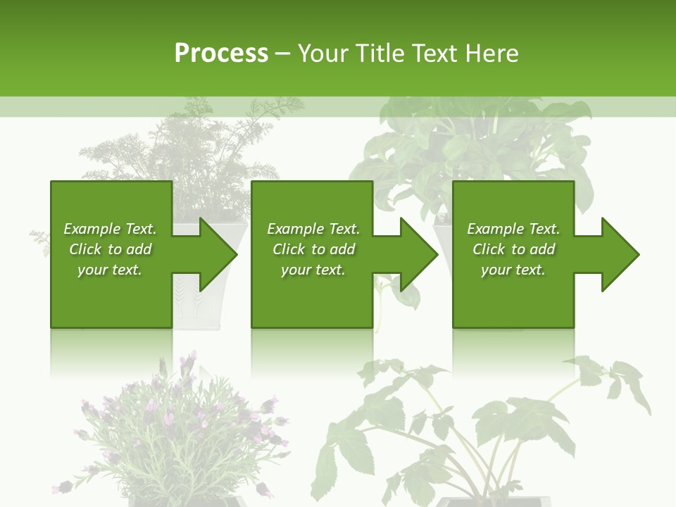 Organic Seasoning Medicinal PowerPoint Template
