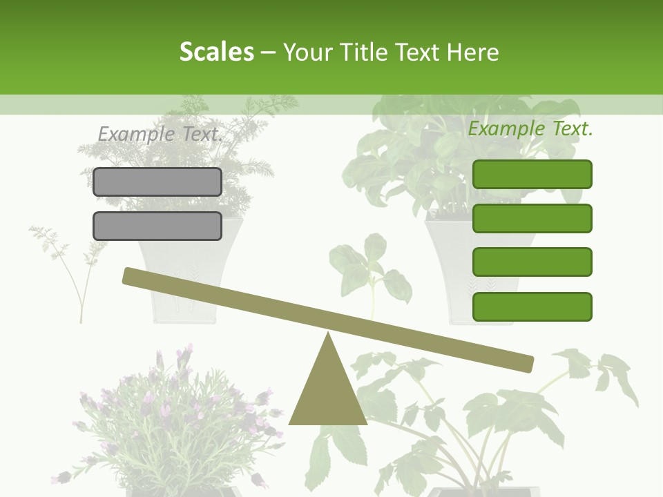Organic Seasoning Medicinal PowerPoint Template