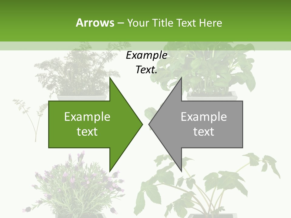 Organic Seasoning Medicinal PowerPoint Template