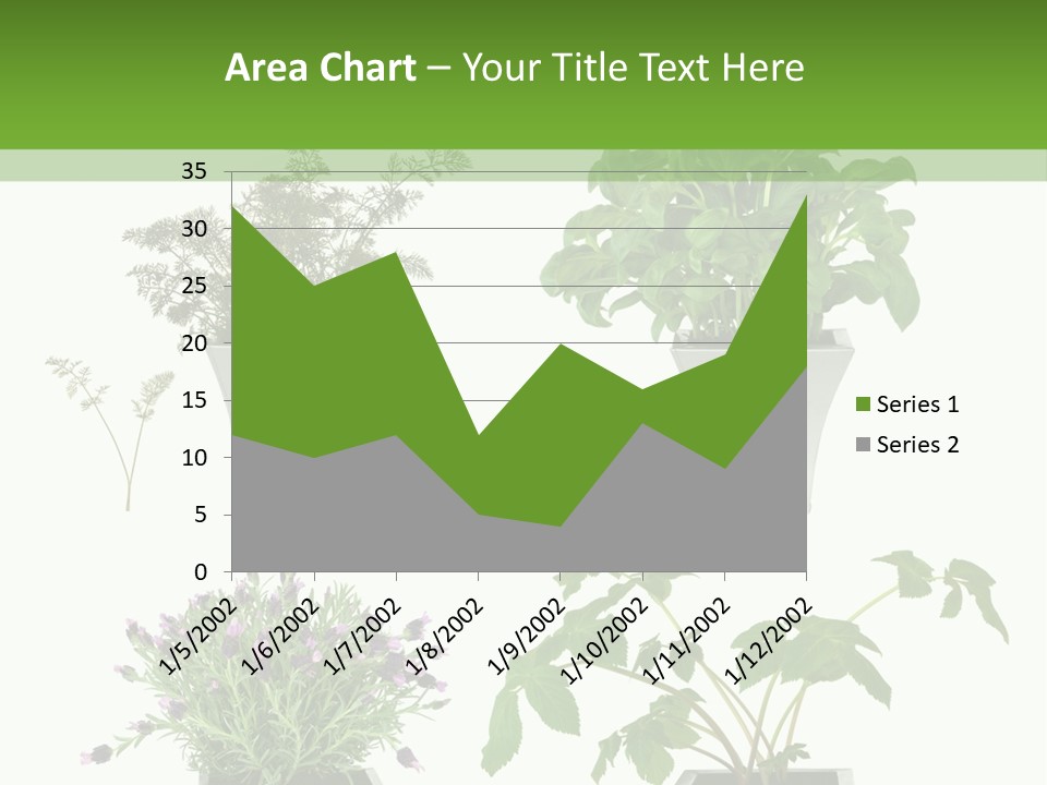 Organic Seasoning Medicinal PowerPoint Template