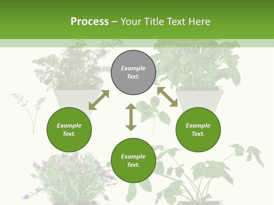 Organic Seasoning Medicinal PowerPoint Template