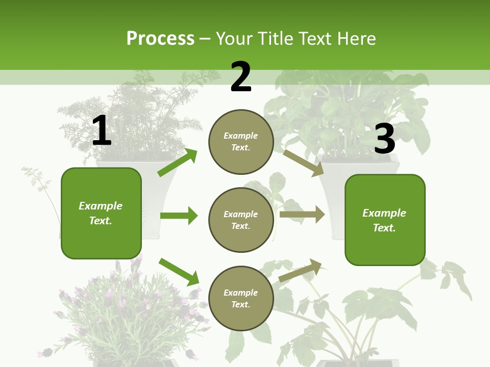 Organic Seasoning Medicinal PowerPoint Template
