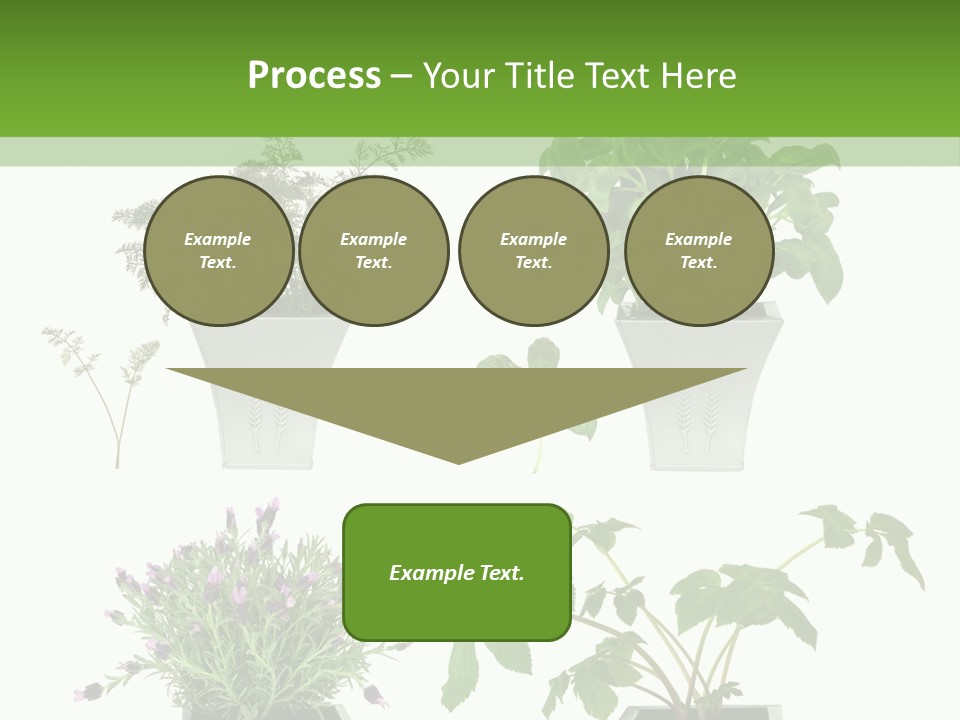 Organic Seasoning Medicinal PowerPoint Template
