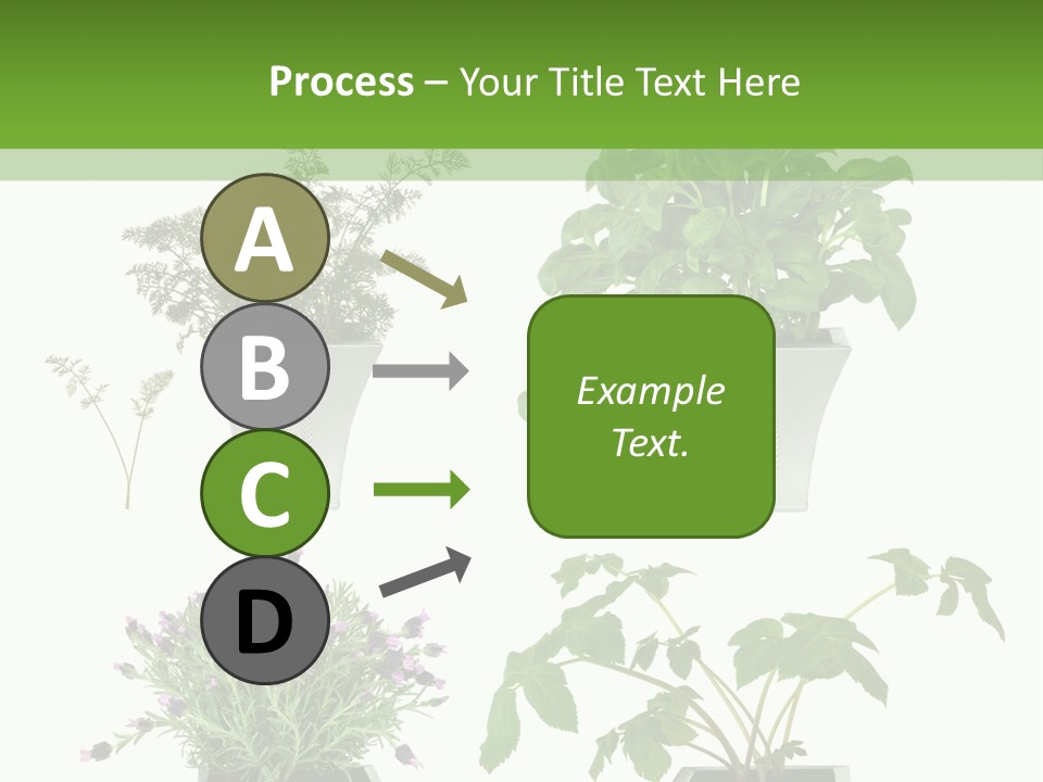 Organic Seasoning Medicinal PowerPoint Template