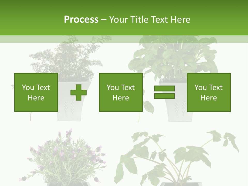 Organic Seasoning Medicinal PowerPoint Template