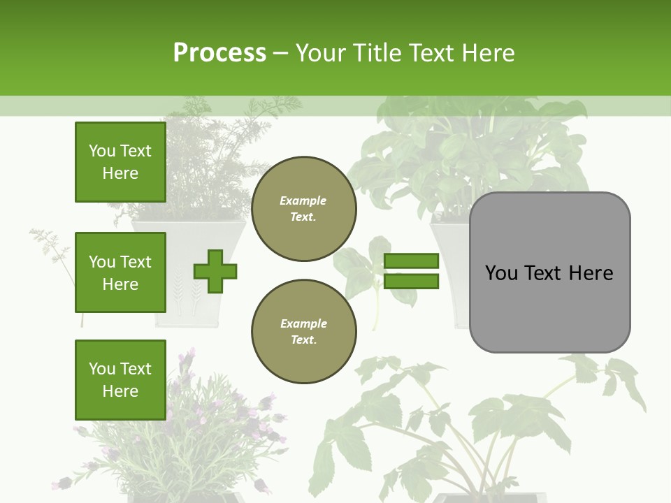 Organic Seasoning Medicinal PowerPoint Template