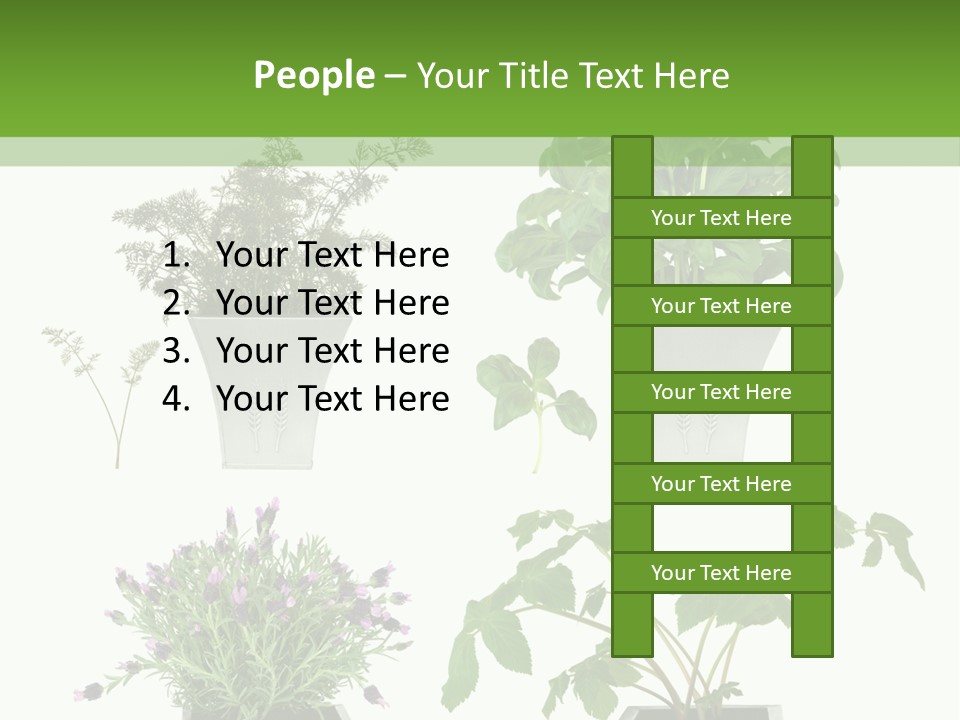 Organic Seasoning Medicinal PowerPoint Template