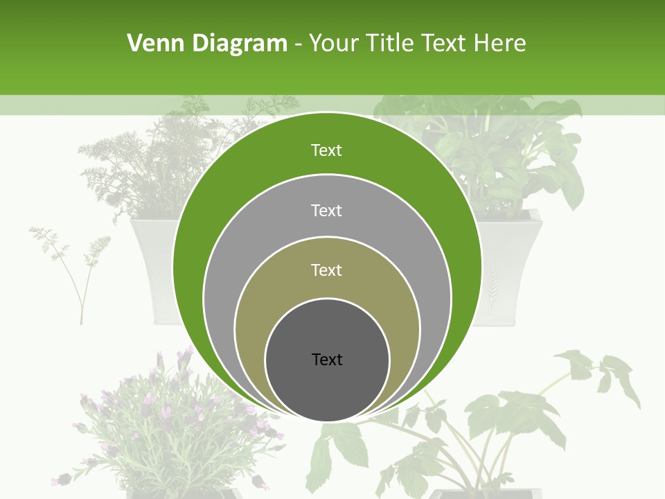 Organic Seasoning Medicinal PowerPoint Template