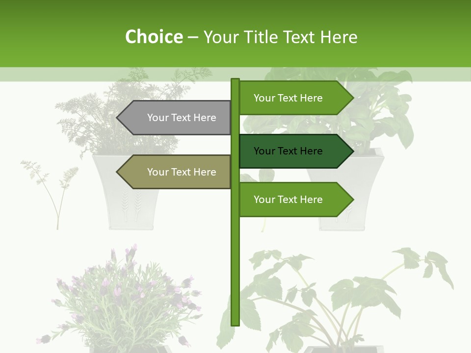 Organic Seasoning Medicinal PowerPoint Template