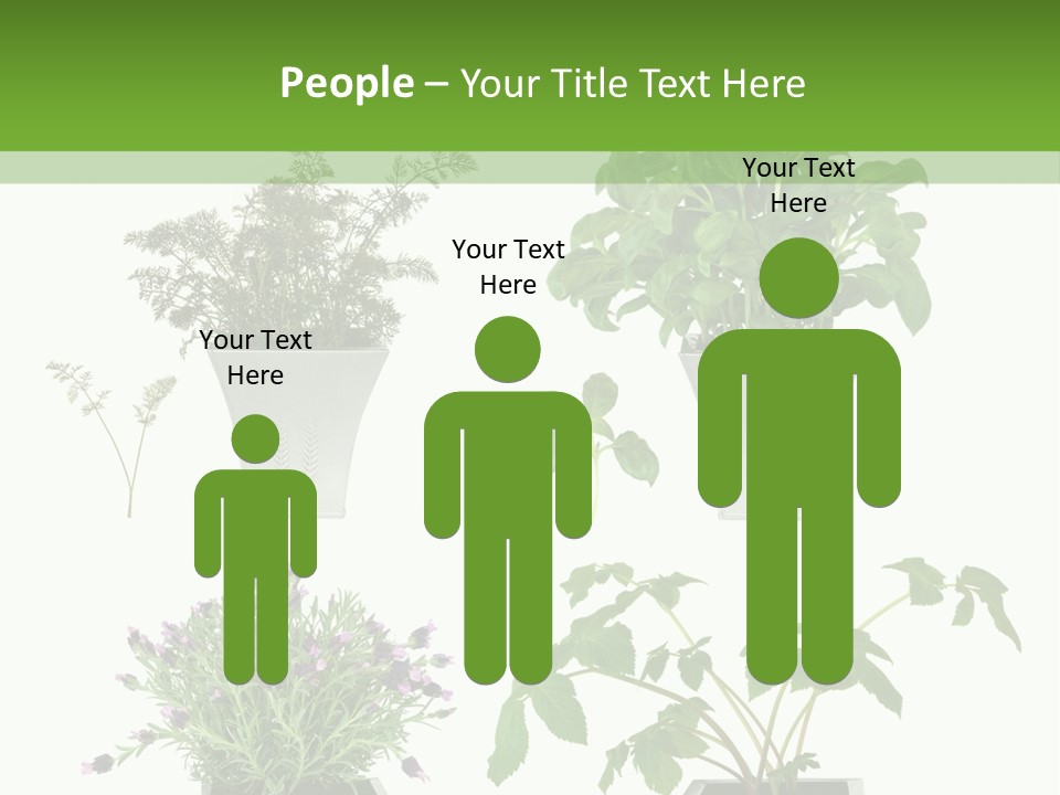 Organic Seasoning Medicinal PowerPoint Template