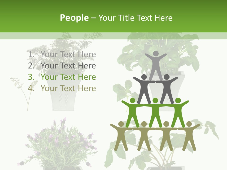 Organic Seasoning Medicinal PowerPoint Template