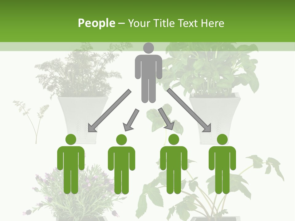 Organic Seasoning Medicinal PowerPoint Template