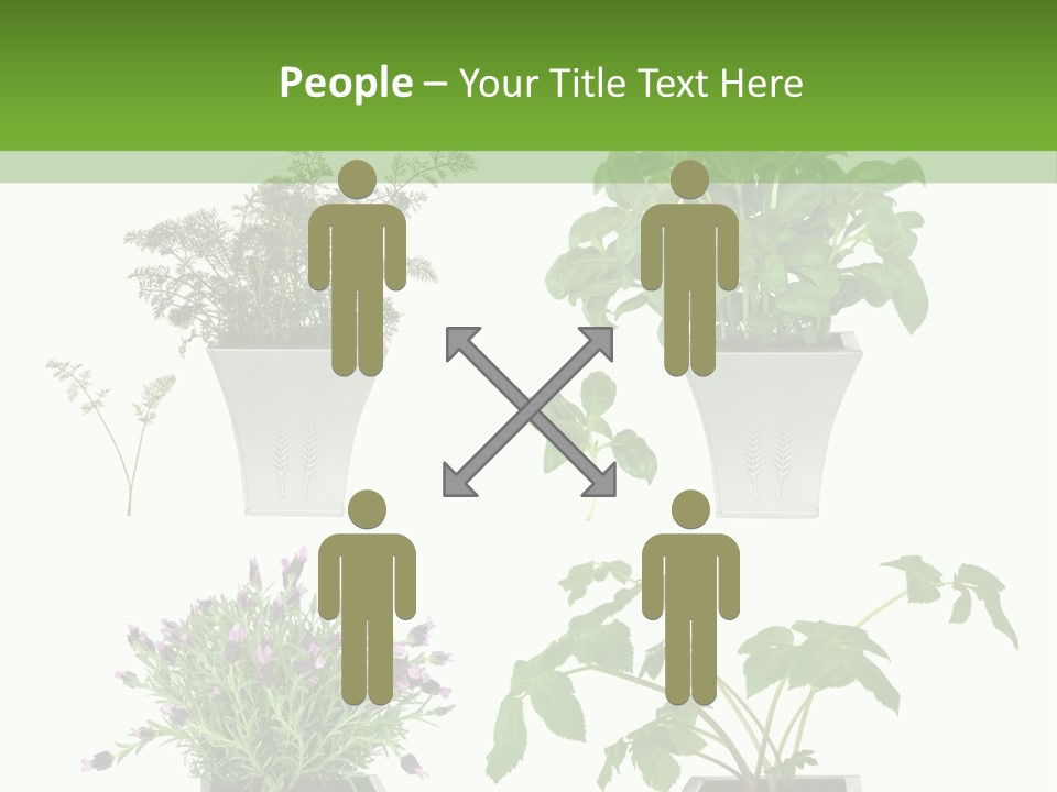 Organic Seasoning Medicinal PowerPoint Template