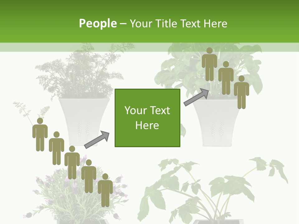 Organic Seasoning Medicinal PowerPoint Template