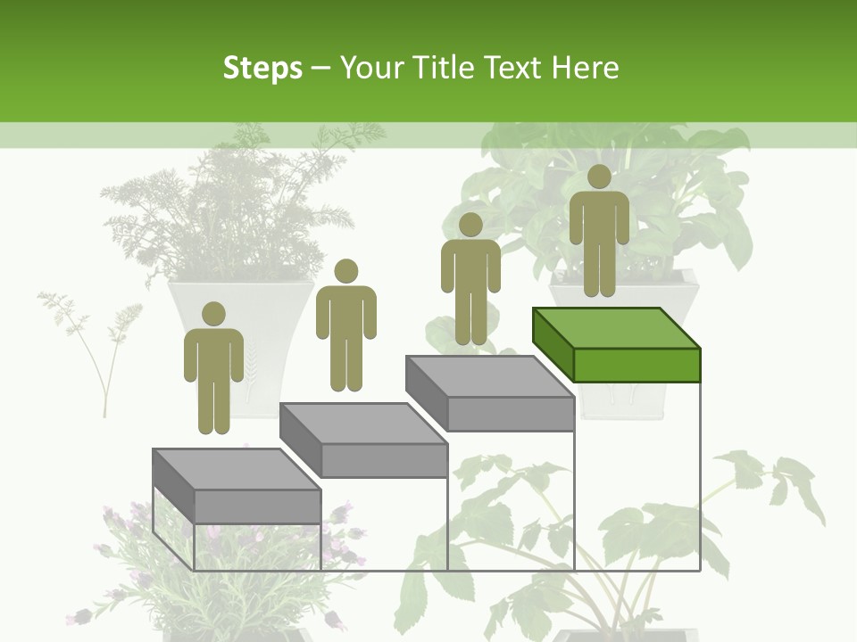 Organic Seasoning Medicinal PowerPoint Template