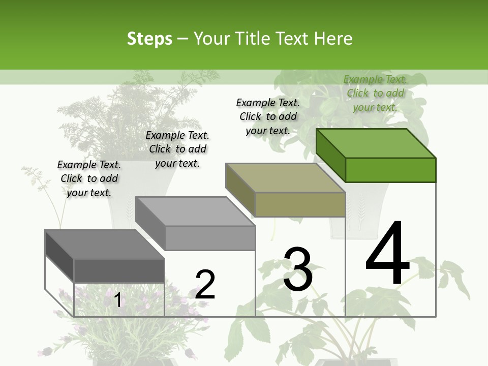 Organic Seasoning Medicinal PowerPoint Template