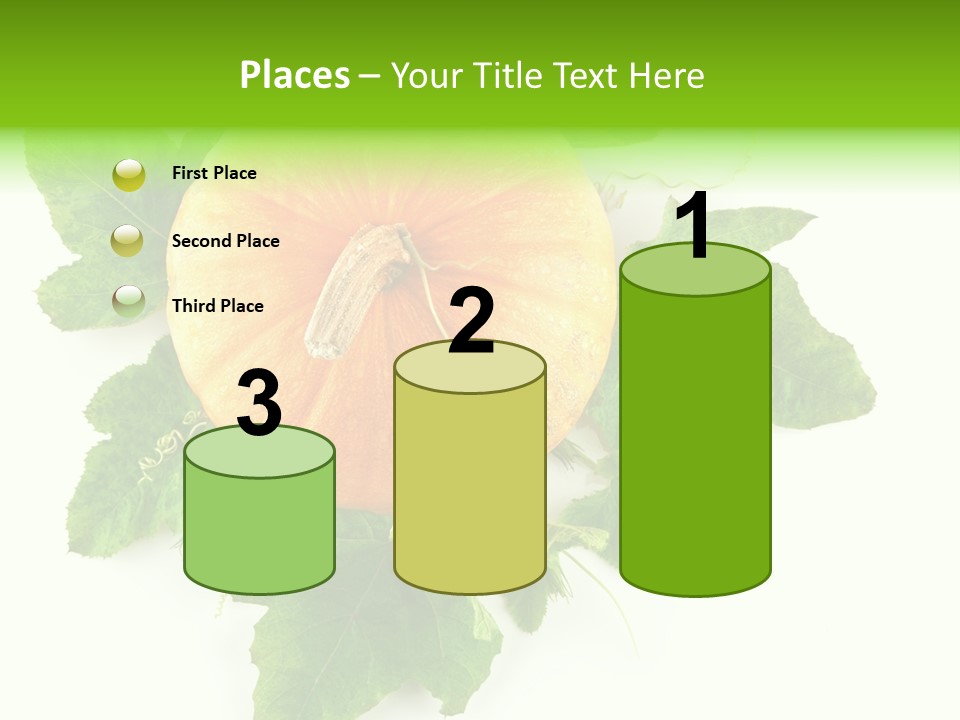 Blossom White Mirroring PowerPoint Template