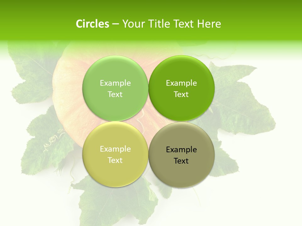 Blossom White Mirroring PowerPoint Template
