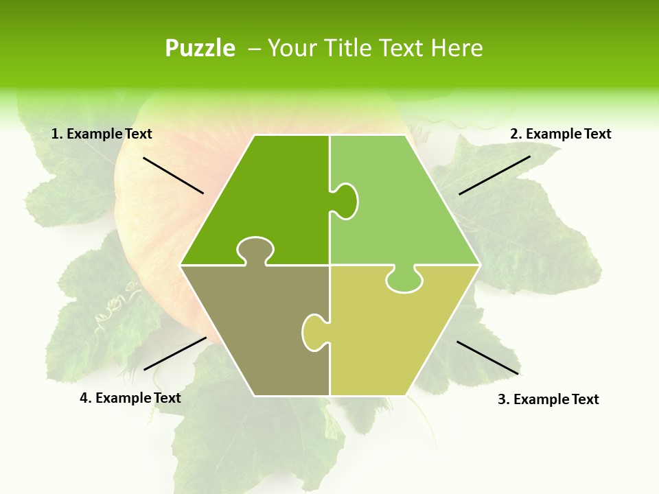 Blossom White Mirroring PowerPoint Template