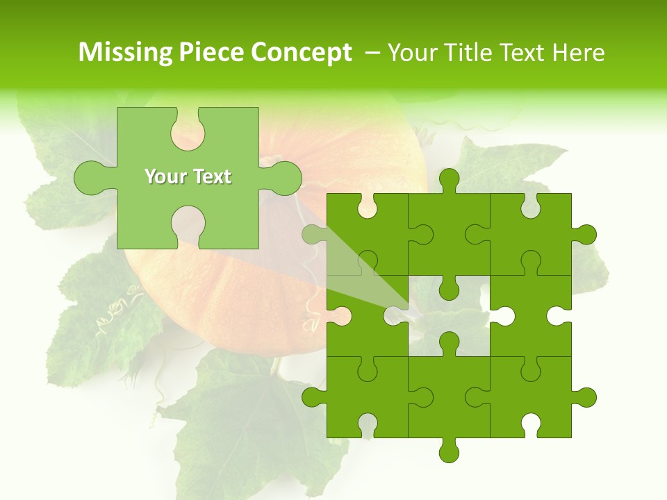 Blossom White Mirroring PowerPoint Template