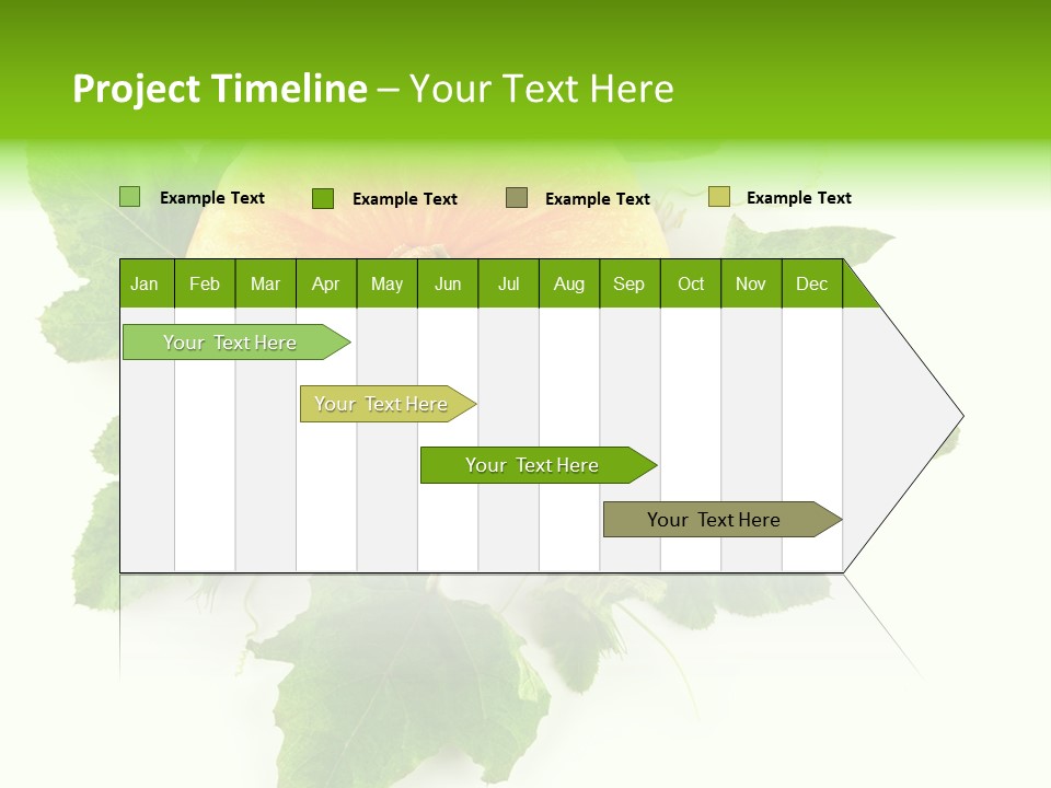 Blossom White Mirroring PowerPoint Template