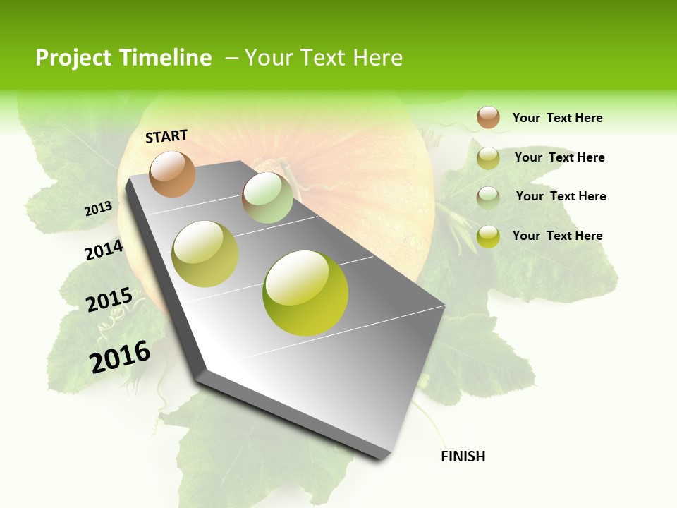 Blossom White Mirroring PowerPoint Template