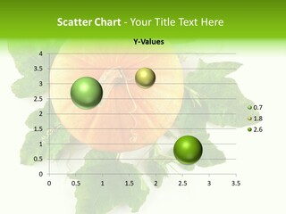 Blossom White Mirroring PowerPoint Template