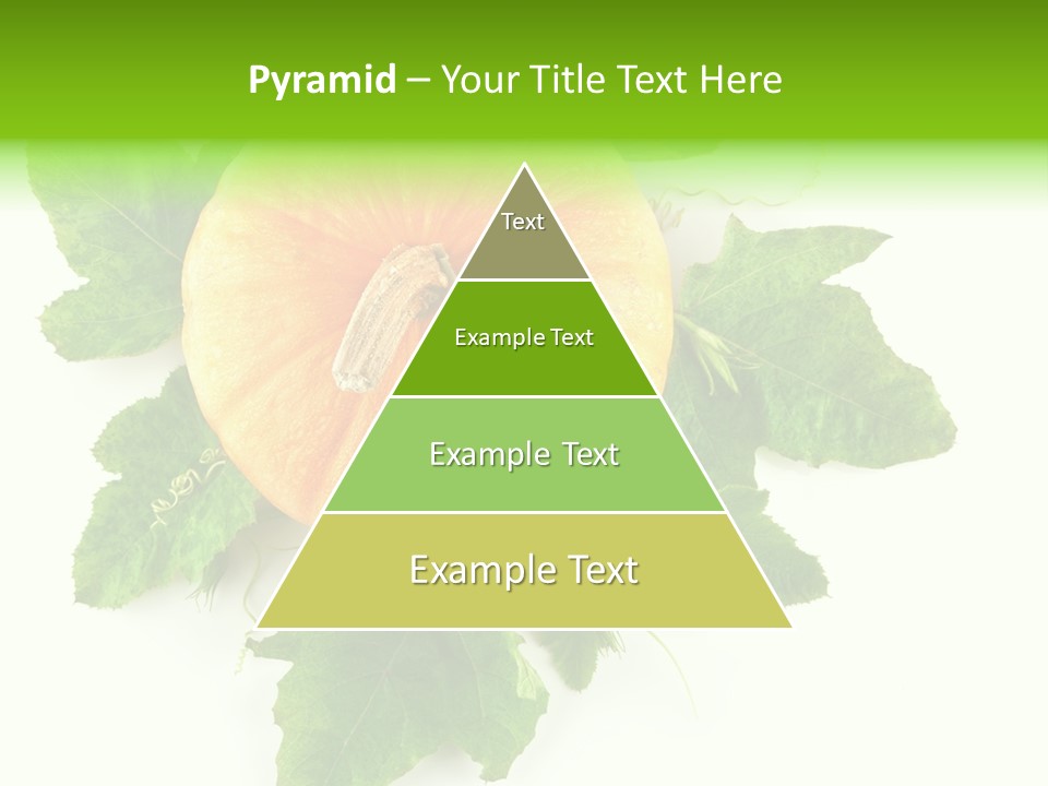 Blossom White Mirroring PowerPoint Template