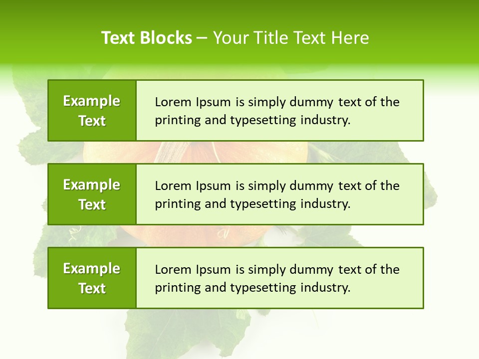Blossom White Mirroring PowerPoint Template