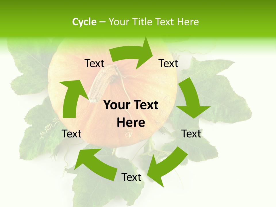 Blossom White Mirroring PowerPoint Template