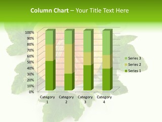 Blossom White Mirroring PowerPoint Template