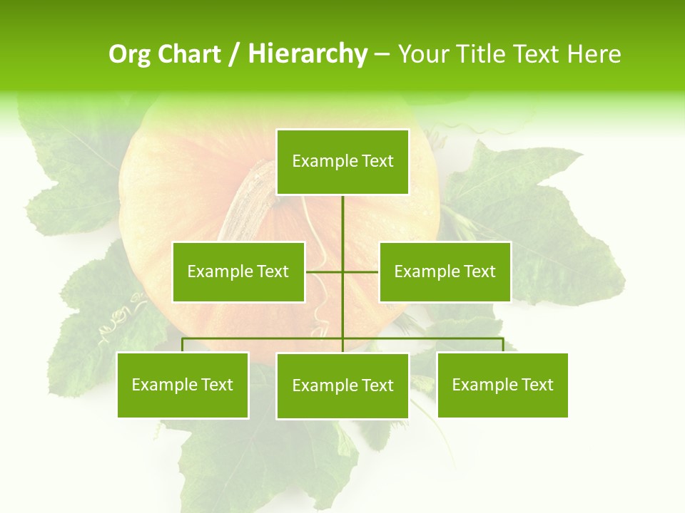 Blossom White Mirroring PowerPoint Template
