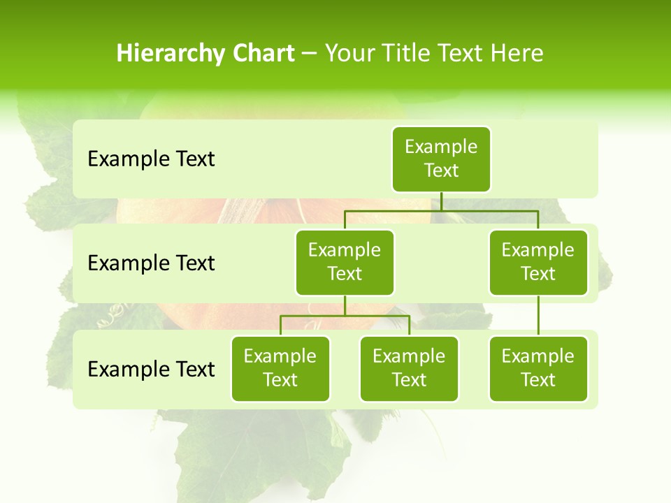 Blossom White Mirroring PowerPoint Template