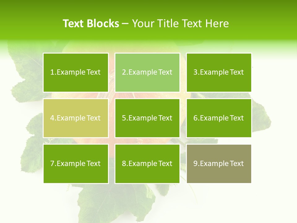 Blossom White Mirroring PowerPoint Template