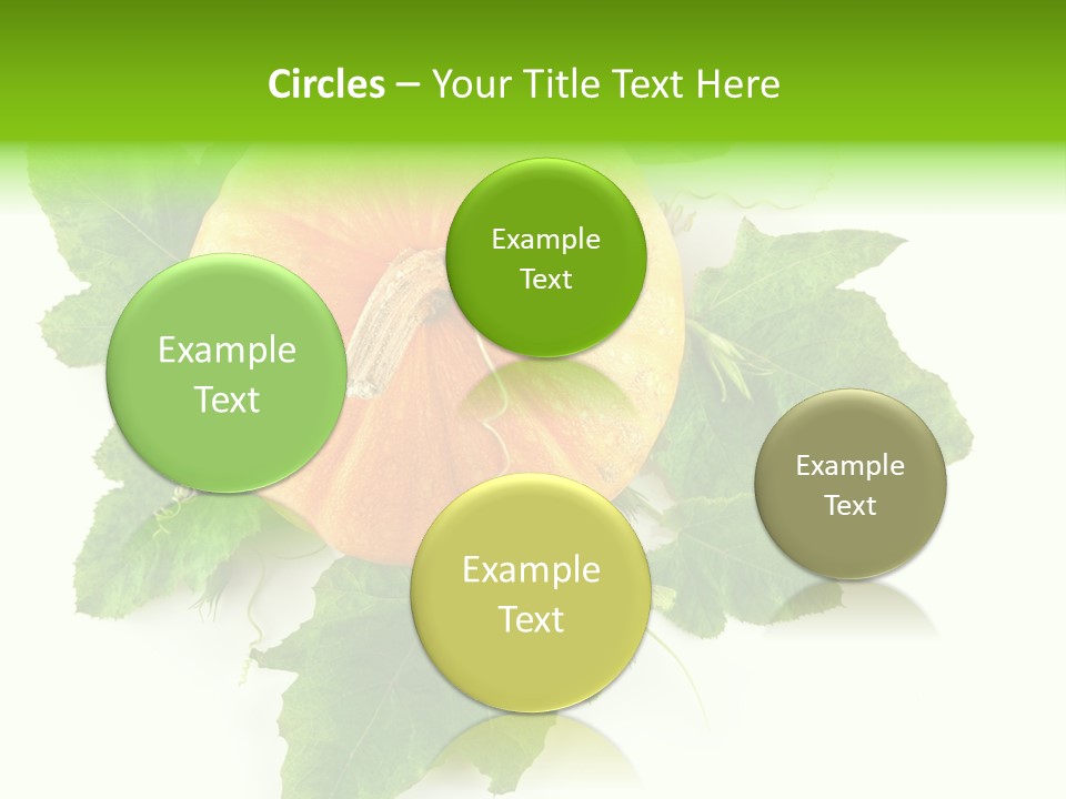 Blossom White Mirroring PowerPoint Template