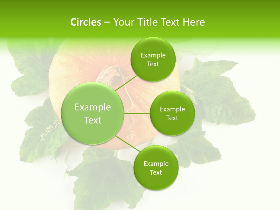 Blossom White Mirroring PowerPoint Template