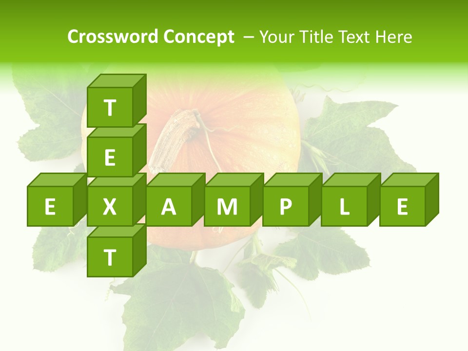 Blossom White Mirroring PowerPoint Template