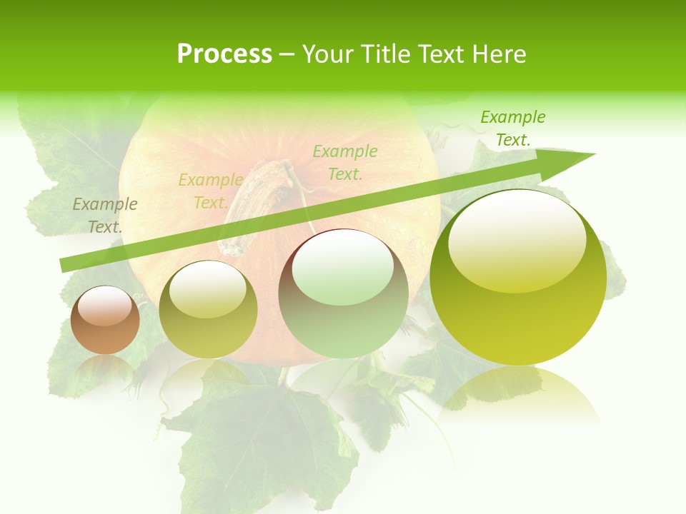 Blossom White Mirroring PowerPoint Template