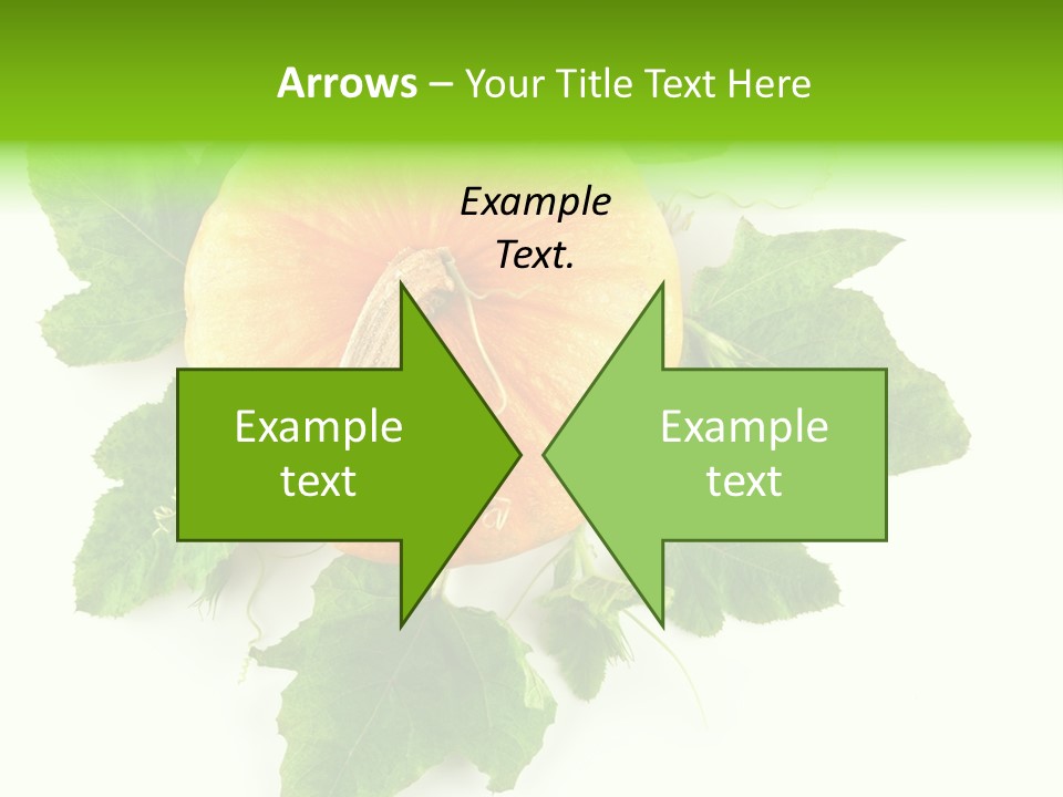 Blossom White Mirroring PowerPoint Template