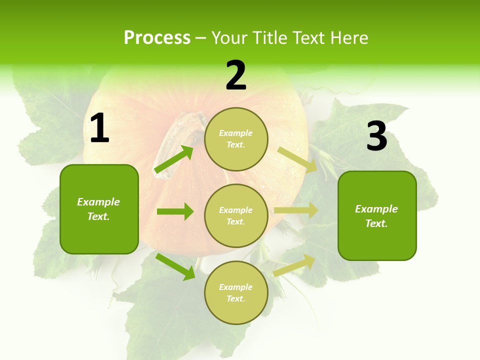 Blossom White Mirroring PowerPoint Template